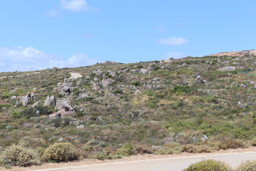 0 Bedroom Property for Sale in St Helena Views Western Cape